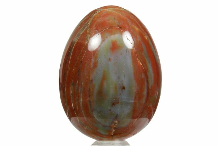 Colorful Polished Petrified Wood Egg - Arizona #356272
